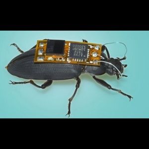 Meet your Posher, Carson